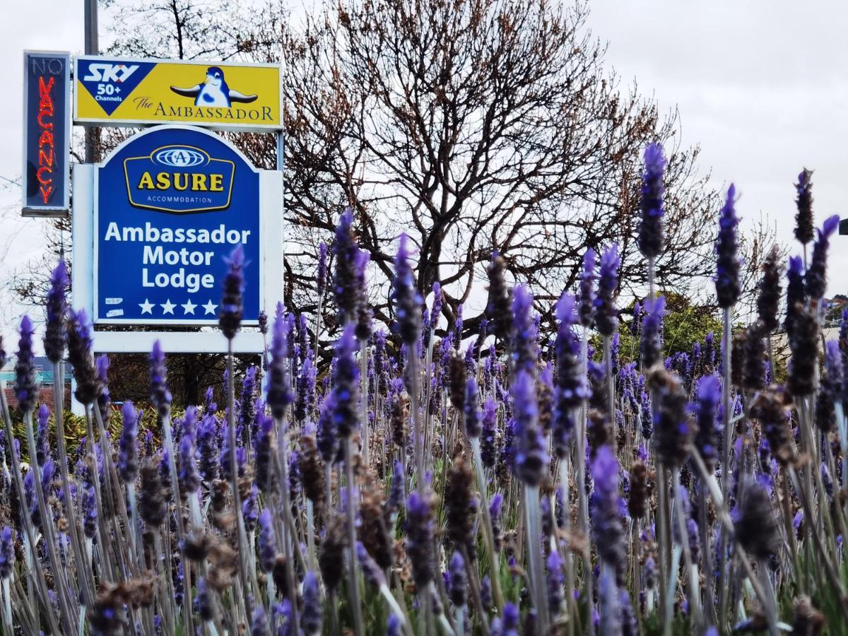 Asure Ambassador Motor Lodge Oamaru Extérieur photo